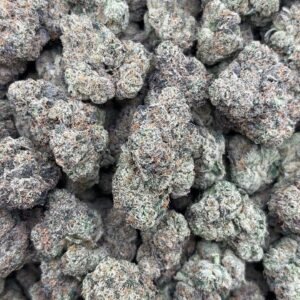 Alternative view of BLUE NERDS