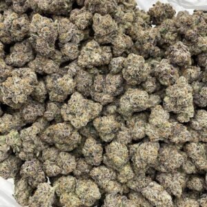 Alternative view of TIFFANY RUNTZ